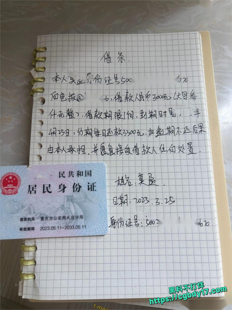 裸贷重庆纹身妹莫盈14