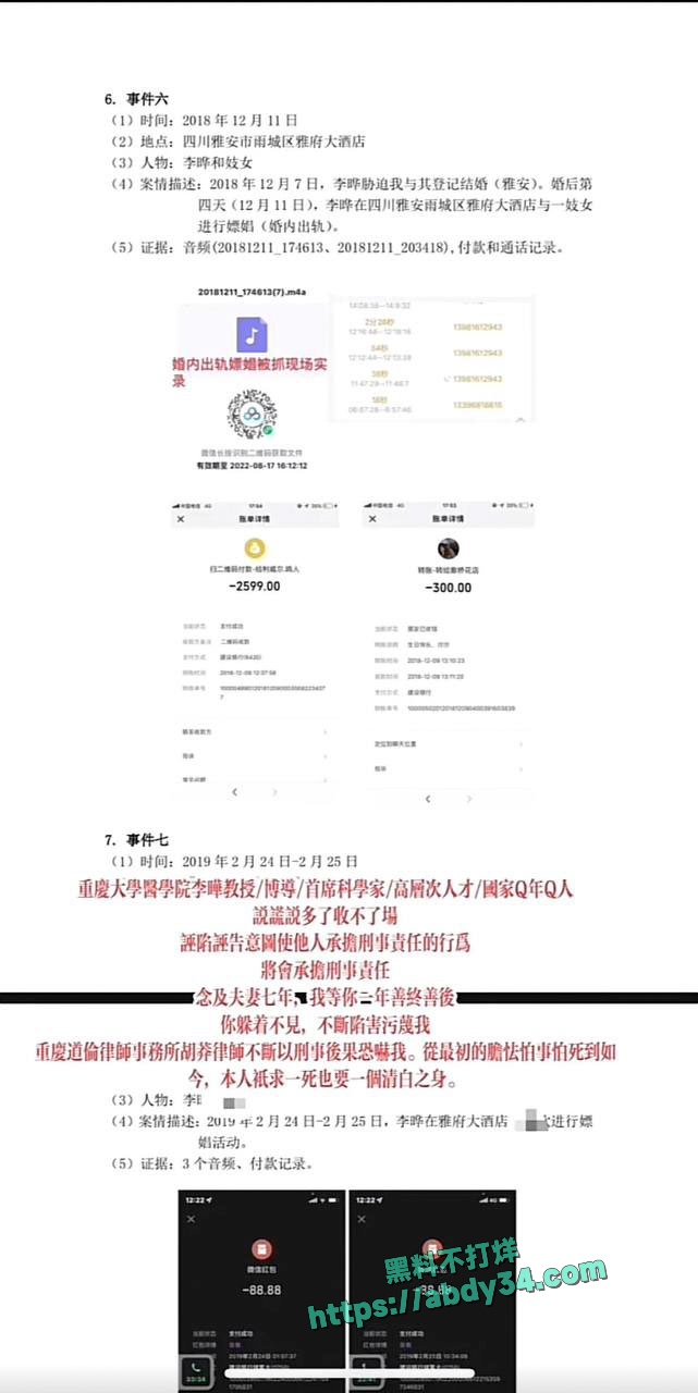 PDF列举李晔罪状5