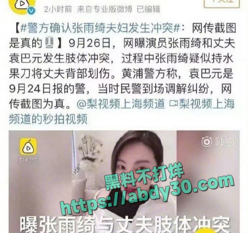 张雨绮前夫 袁巴元 13