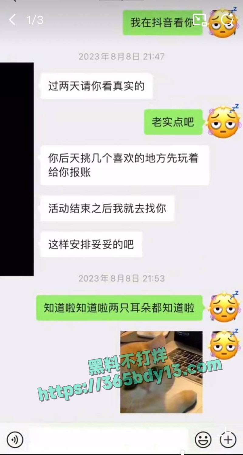 女网友与魏大勋聊天记录18