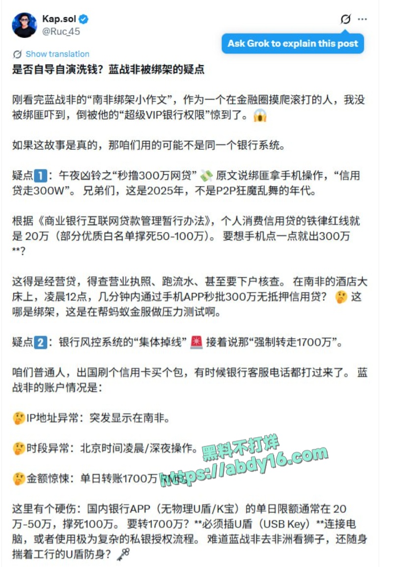 蓝战非南非绑架事 10