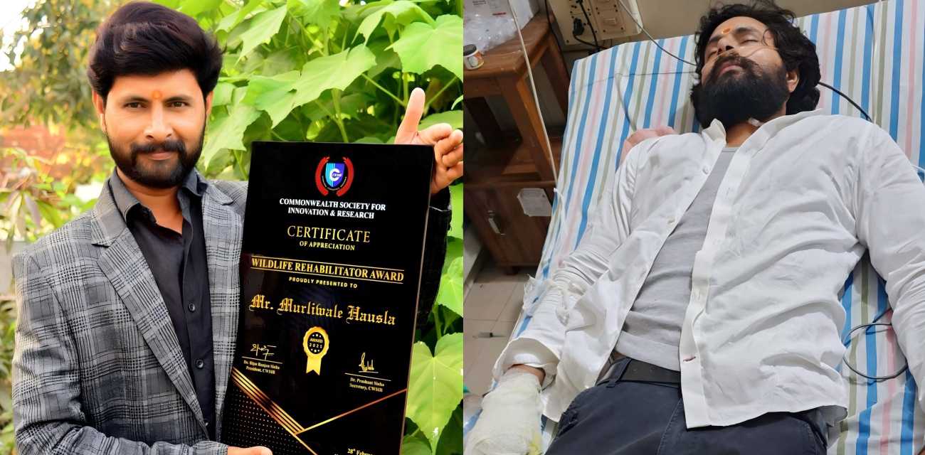 印度著名捕蛇网红 传奇豪斯拉 遭眼镜蛇致命一击 病情不乐观生死未卜