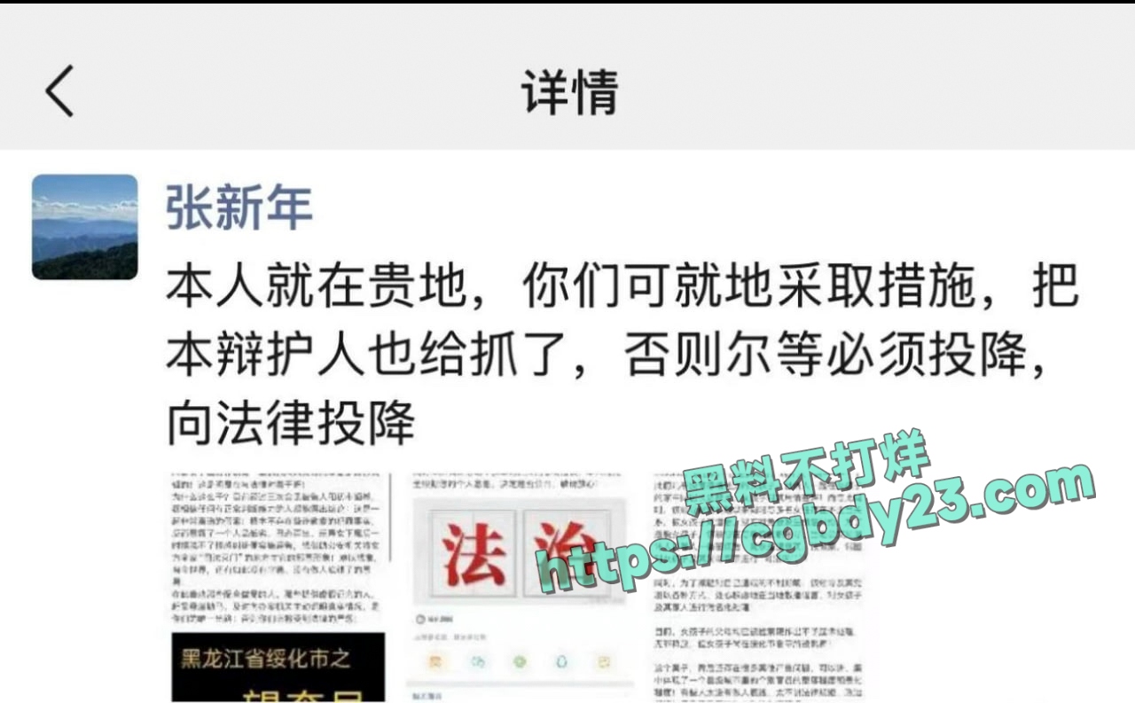 张新年律师因辩护的案件涉及黑龙江望奎县一位主要领导丑闻被抓3