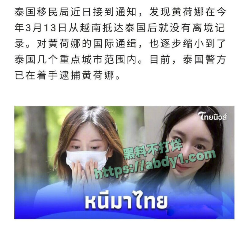 韩国财阀千金黄荷娜再爆丑闻搞电诈被全球通缉 29