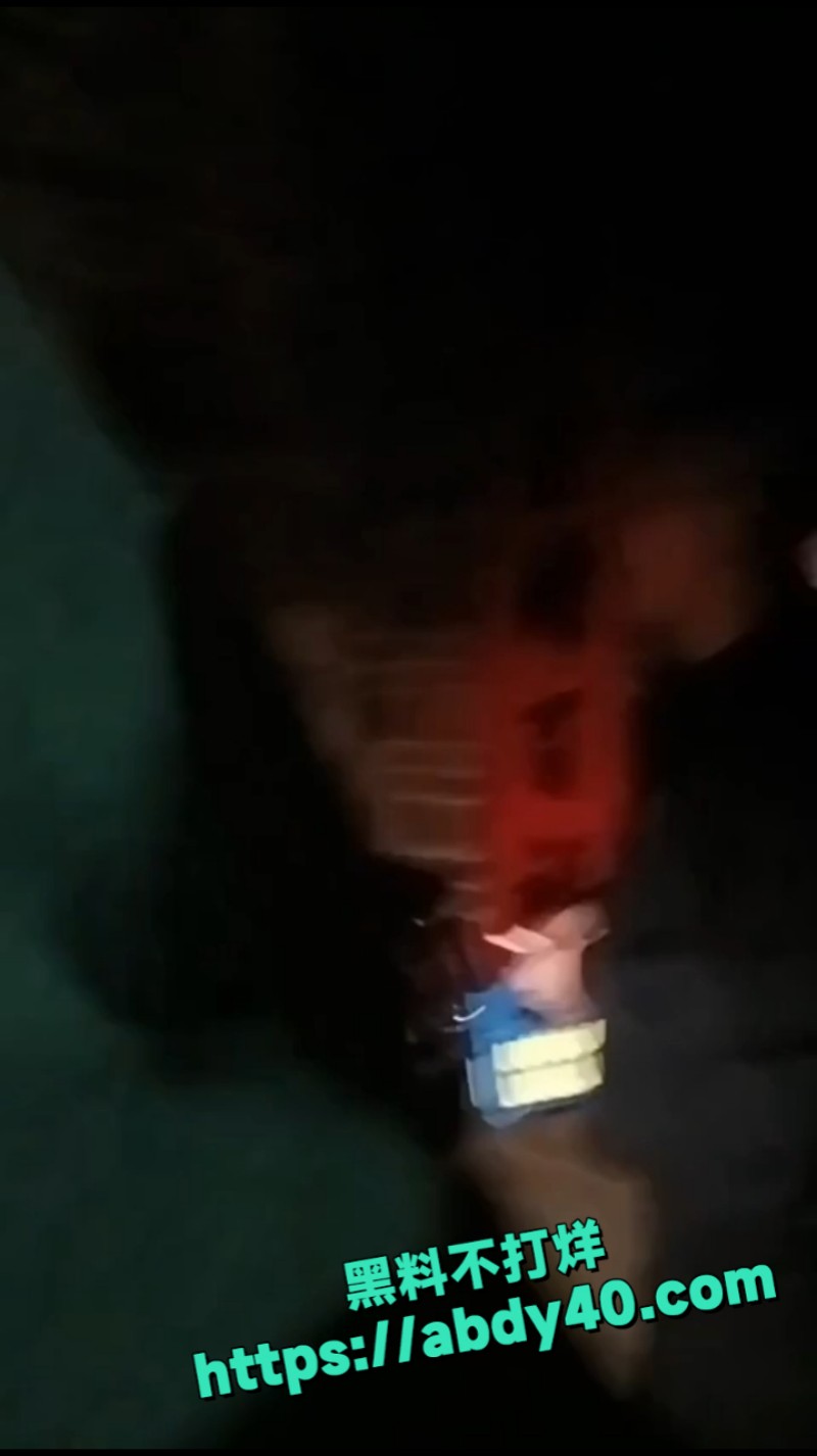 一村人半夜捉贼 5