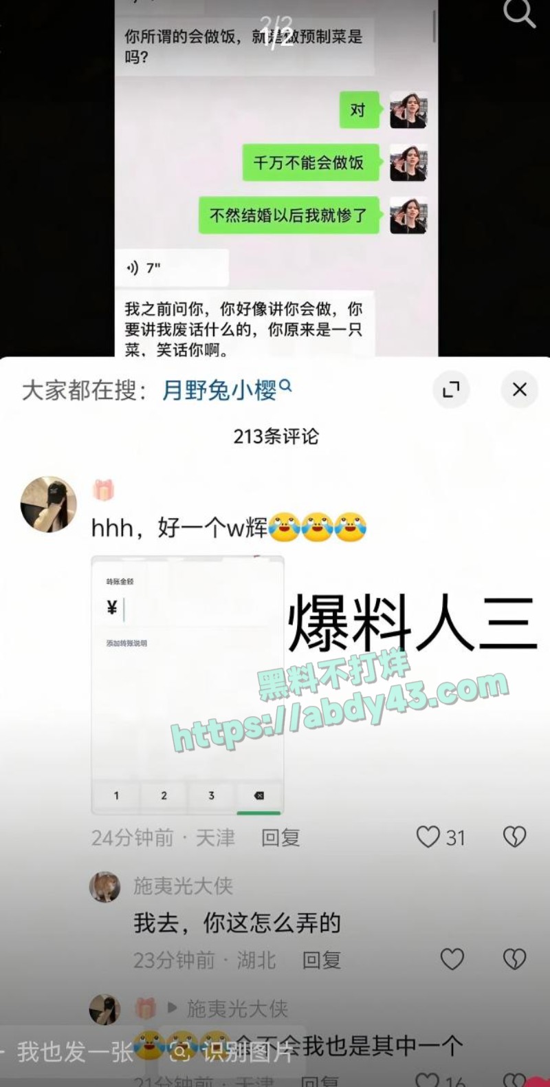 奶爸网红月野兔小樱23
