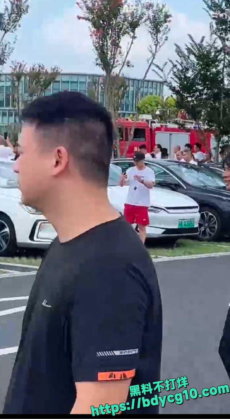 比亚迪汉疑似刹车失灵1