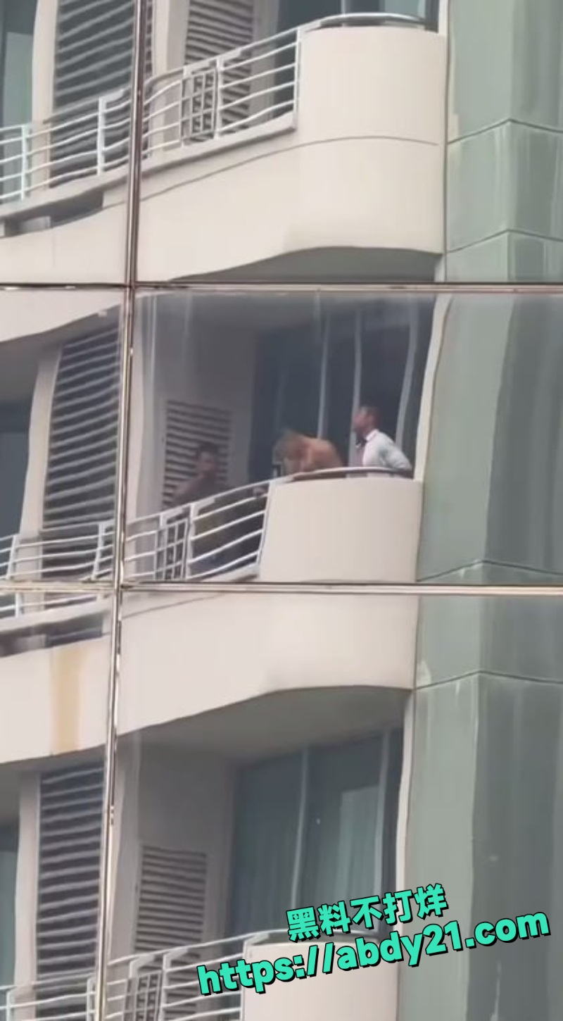 健身教练完成主人任务5