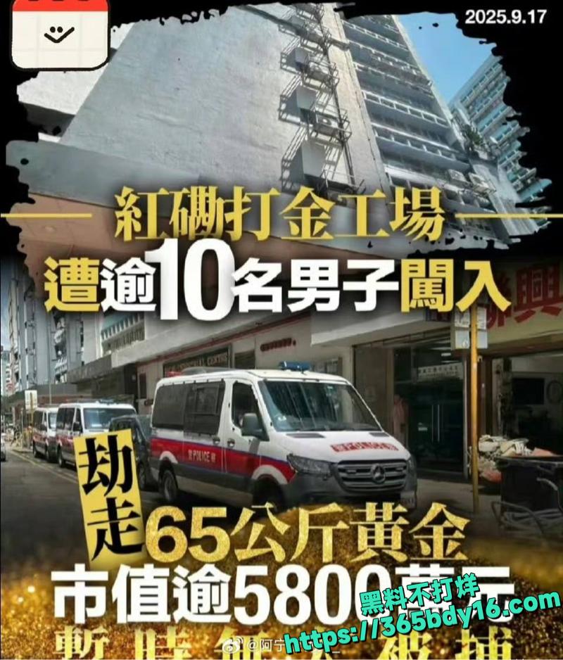 17悍匪抢走65公斤黄金7.