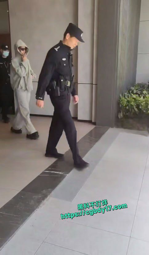 网红刀小刀 被警察从公寓带走5