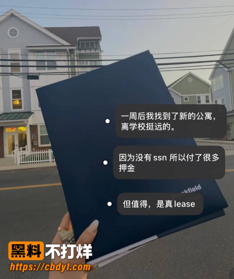 王龙15