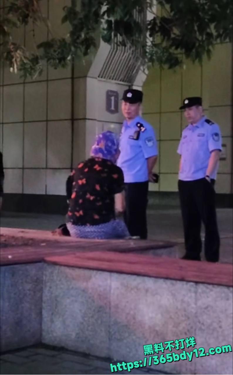 辽宁沈阳老太太捡垃圾占消防通道1.