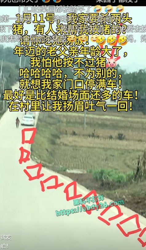 重庆合川呆呆杀猪事件燃爆网络 1