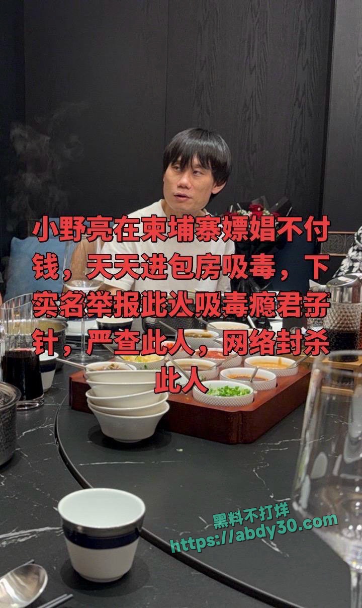 抖音百万粉丝网红东瀛小野亮E9