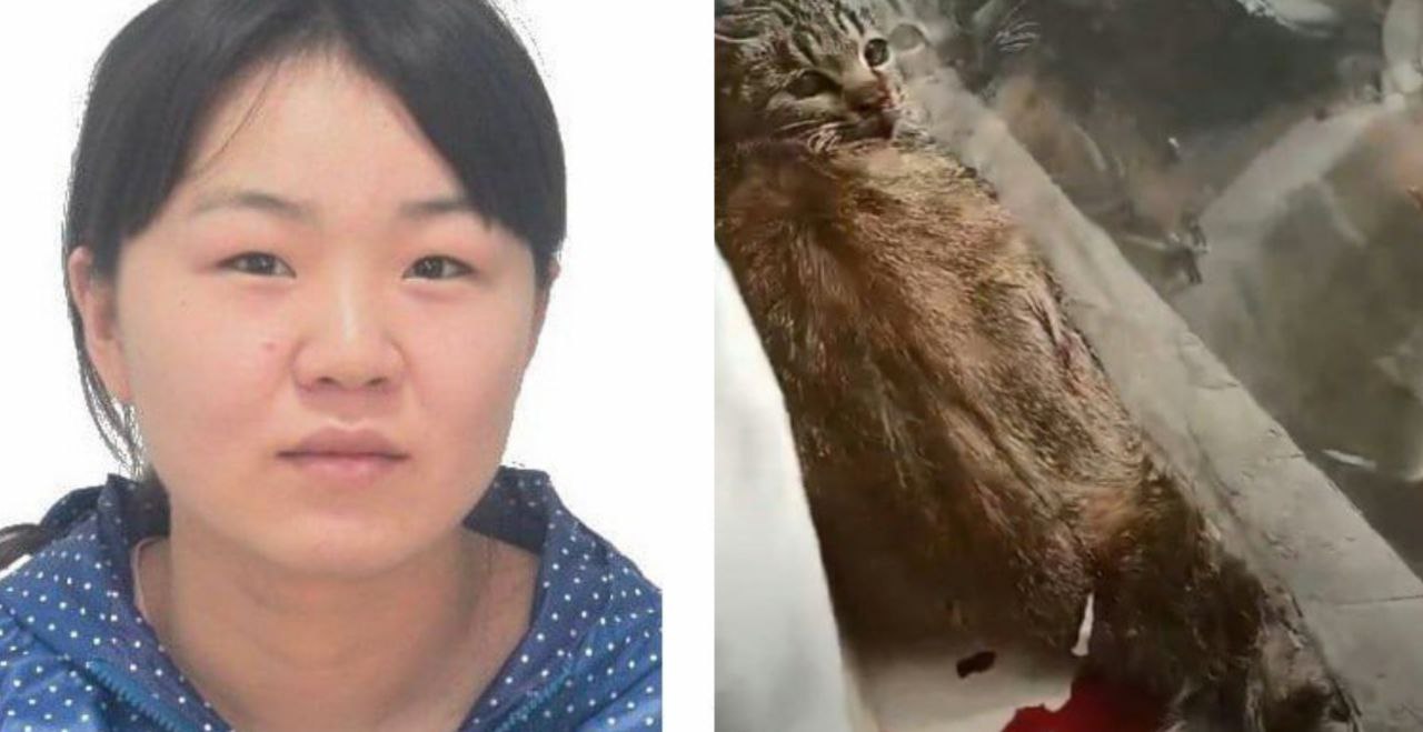 慎入！浙江杭州女孩 刘蕾 一边拿手术刀一边虐猫“咪咪你流了这么多血好可爱啊”