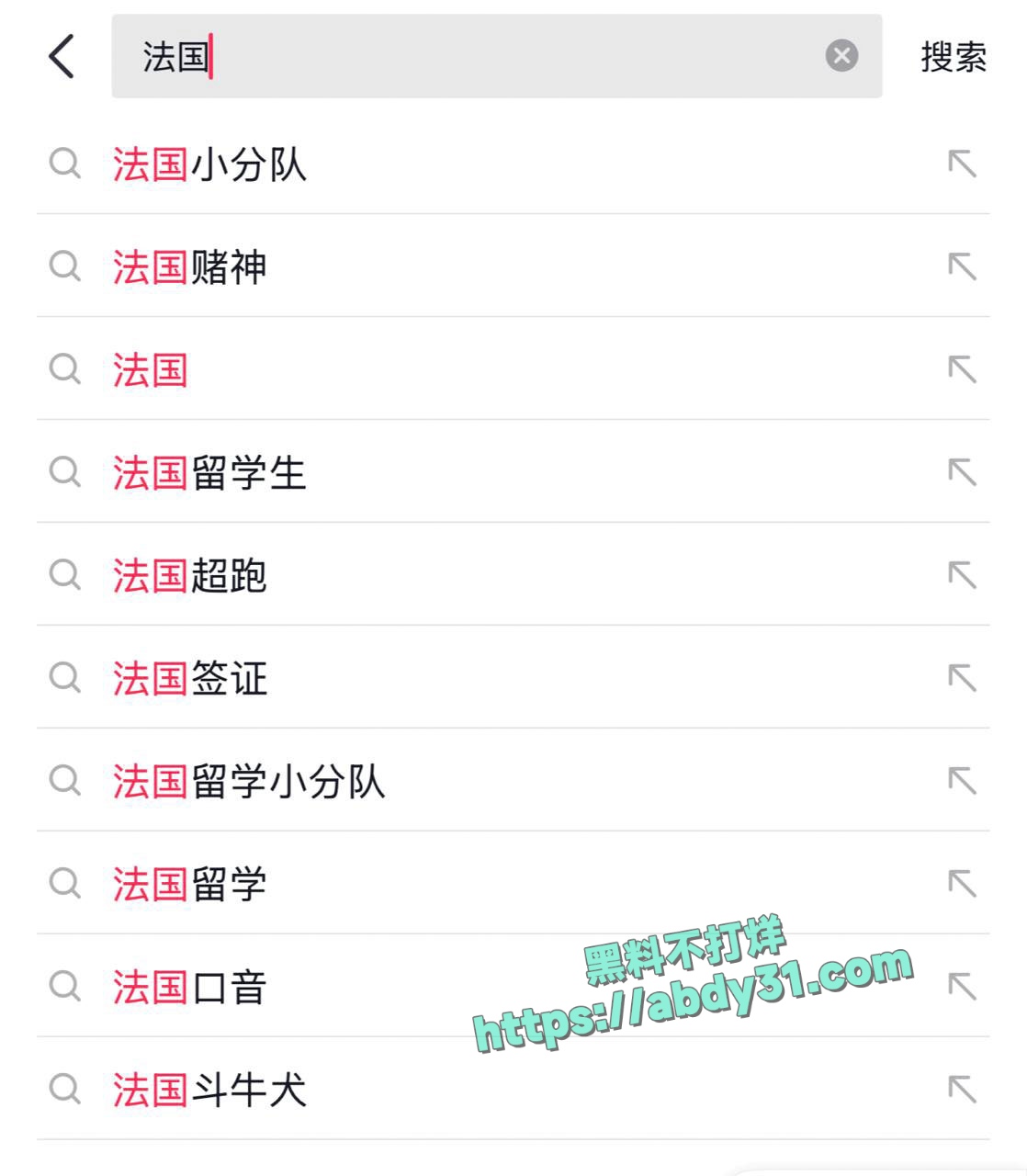 法国留学圈惊现法国小分队 1