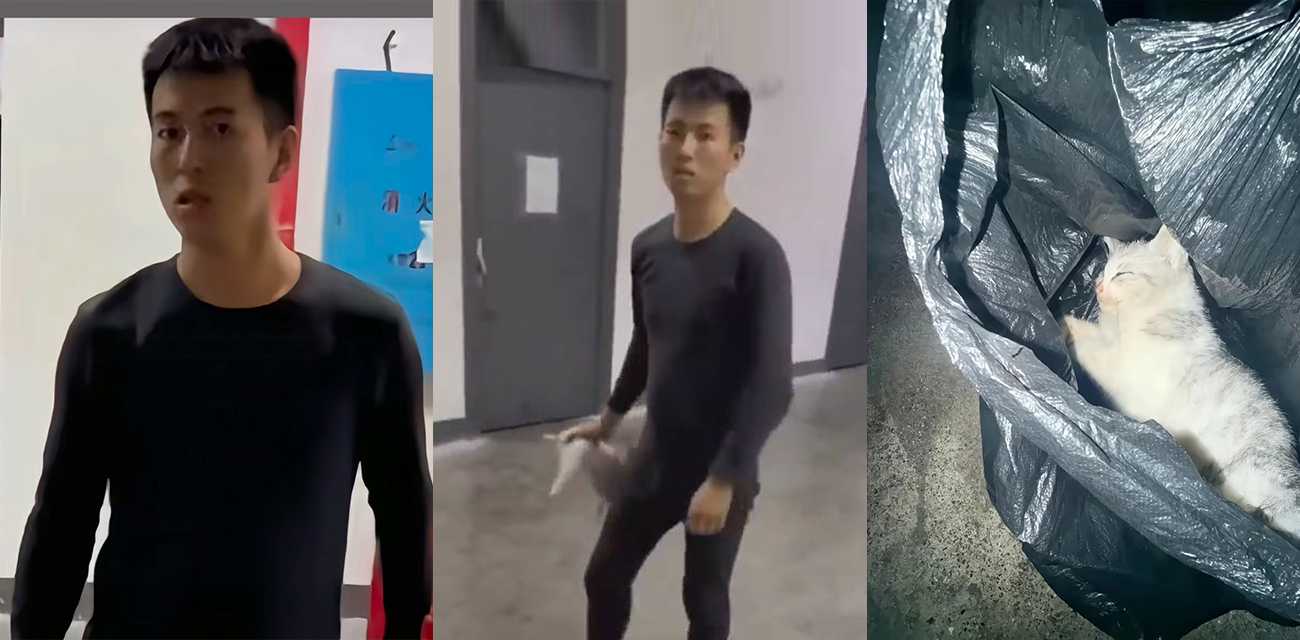 湖南湘西为民中等职业技术学校 教官在校园内将一名学生携带到宿舍的小猫当面摔死