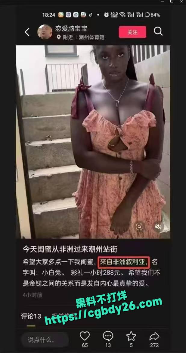 非洲叙利亚2