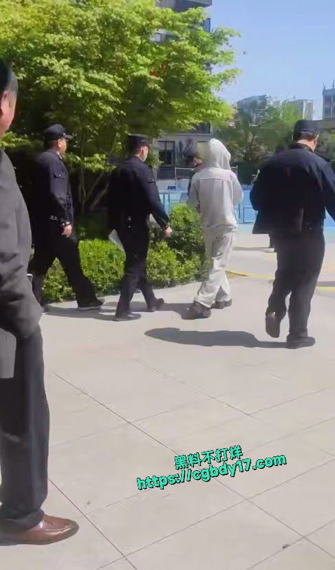 网红刀小刀 被警察从公寓带走3