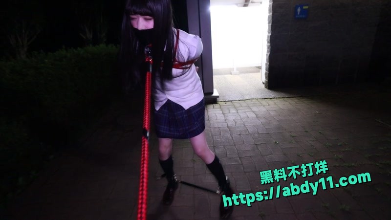每日大赛遛狗要牵绳1