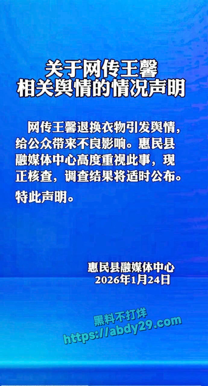 惠民融媒记者王鑫白嫖 1