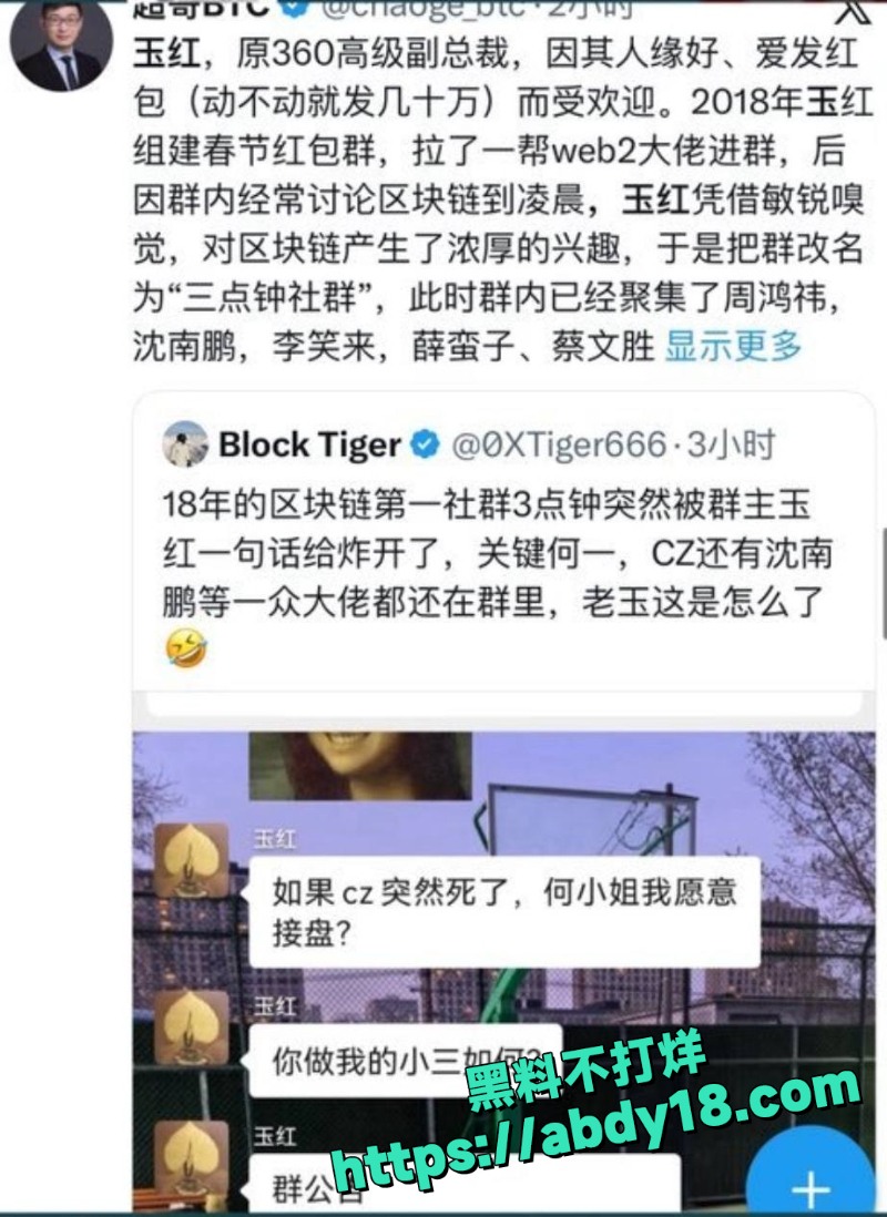 玉红指控周鸿祎假账几十亿12
