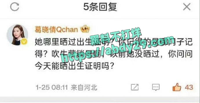 张雨绮被袁巴元前妻实锤代孕 6