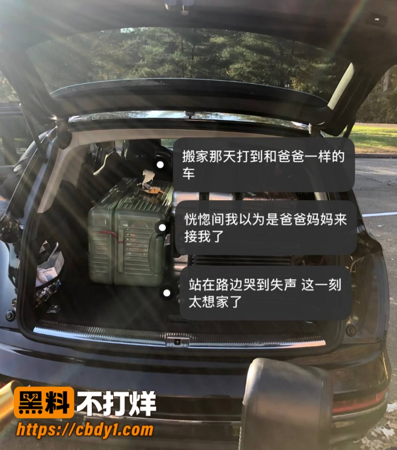 王龙16