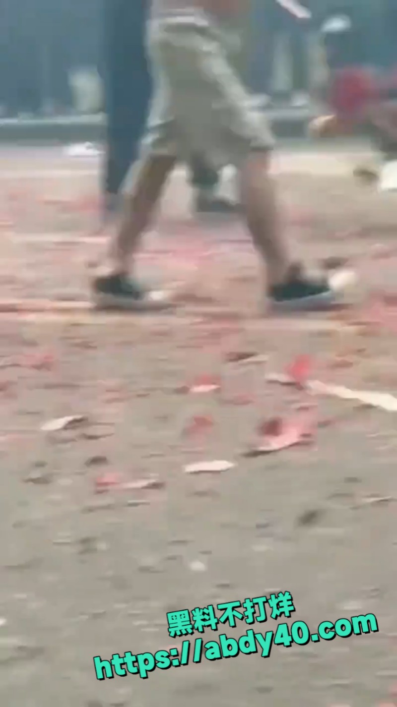什么叫用命在舞龙 10
