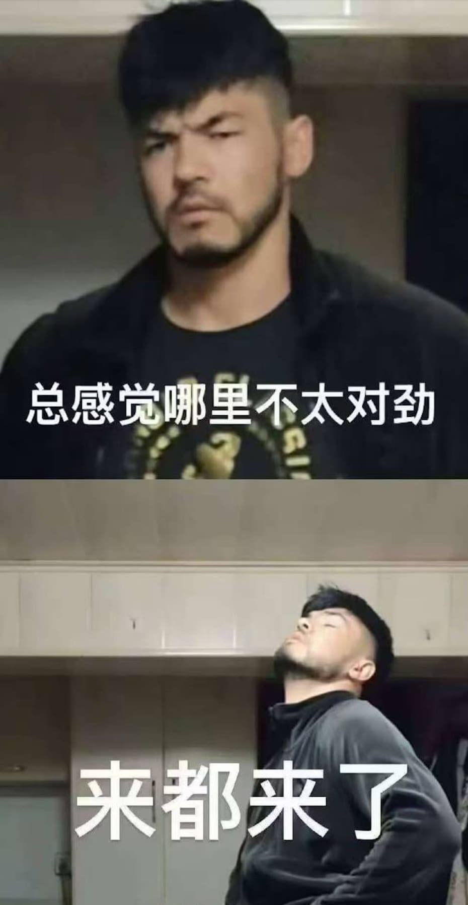 来都来了哥