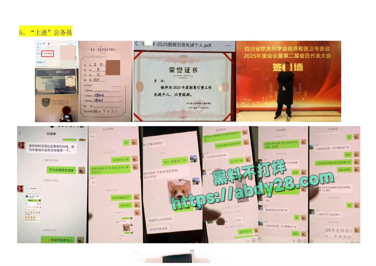 四川绵阳经济合作局公职人员李林林 13