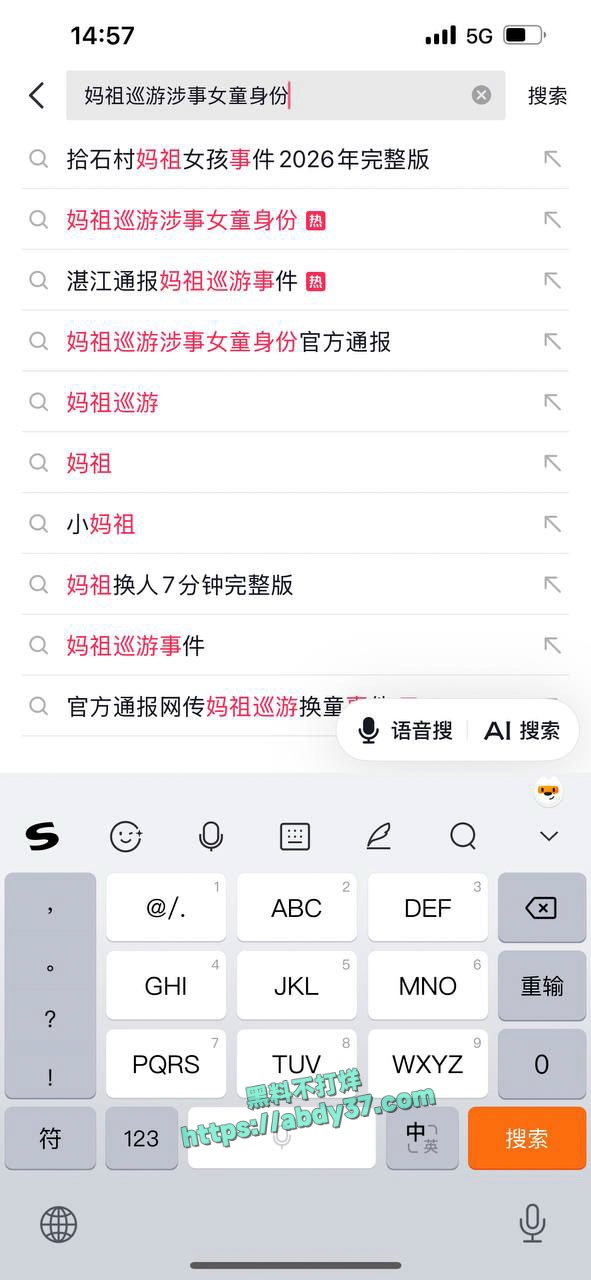 湛江通报妈祖巡游事件 4