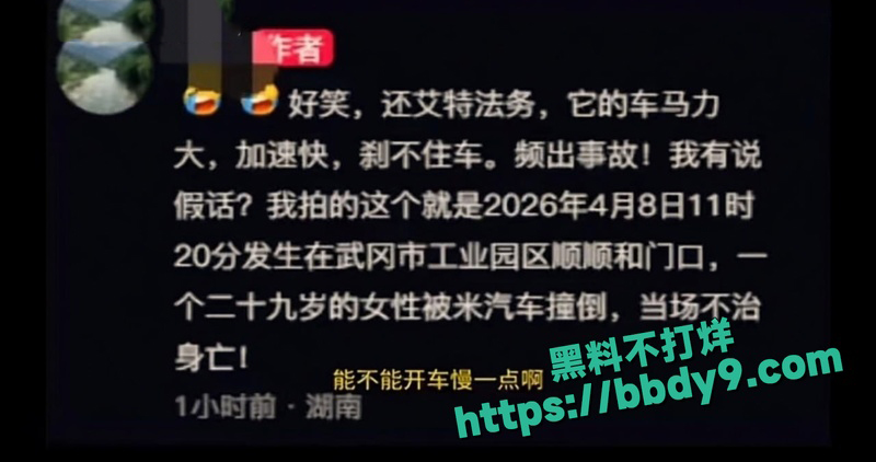 小米SU7撞死29岁女子12