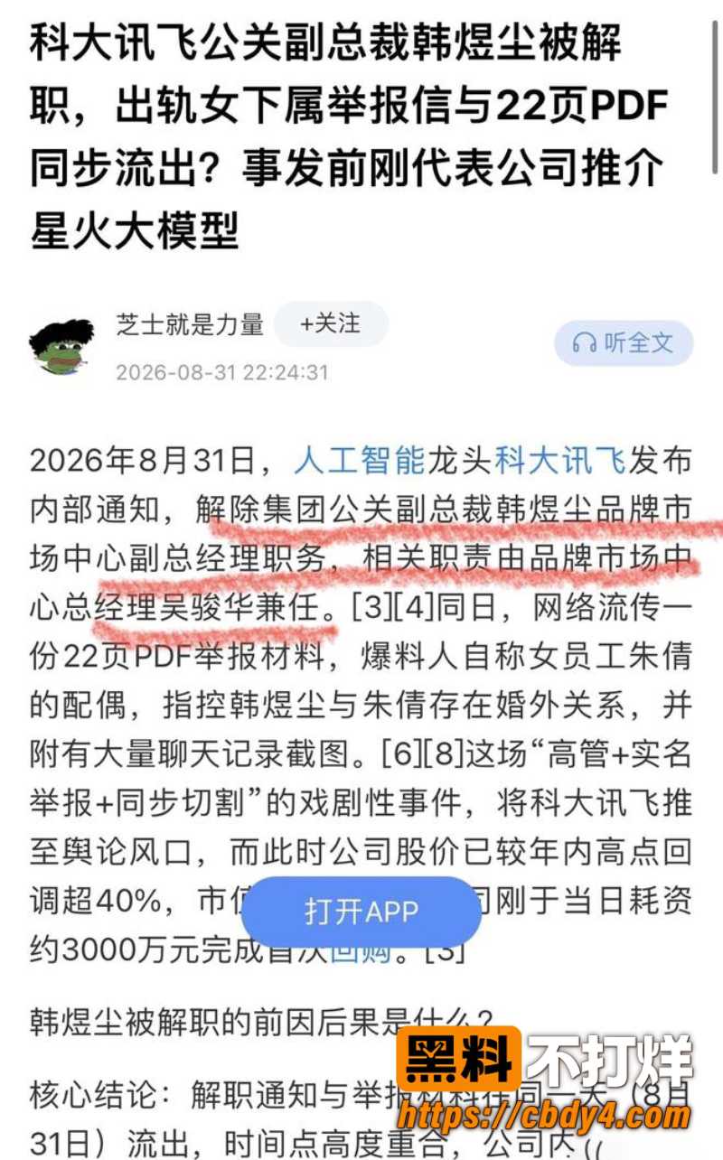科大讯飞公关副总韩煜尘 3
