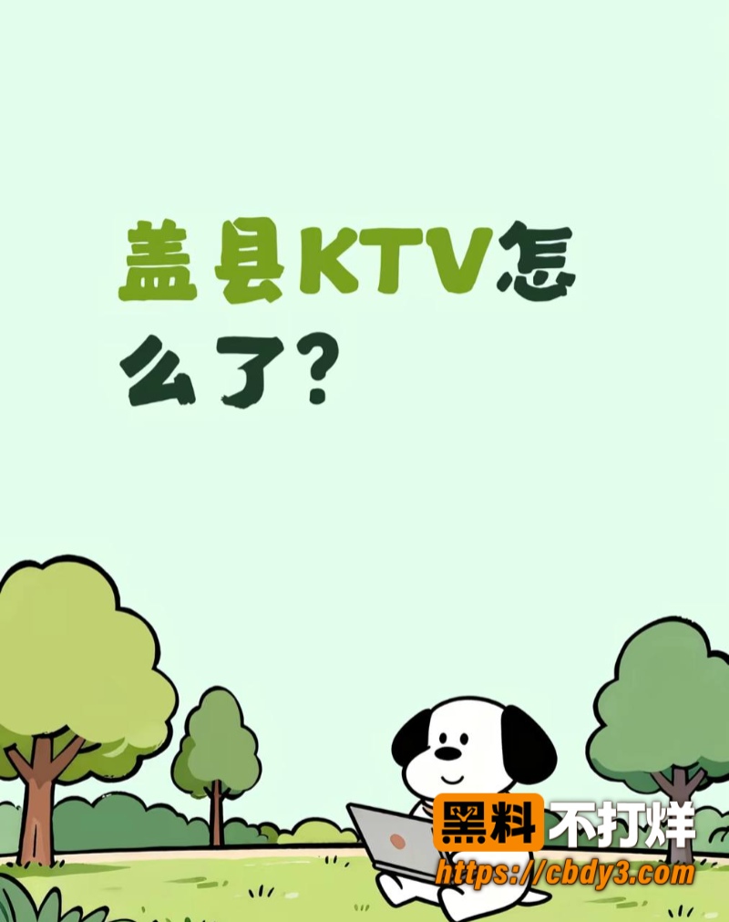 盖州兴隆KTV事件视频01