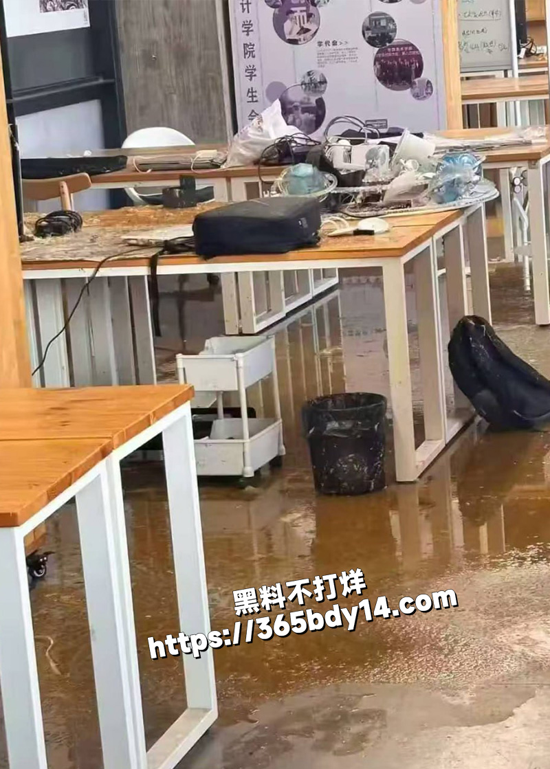 国美淋屎