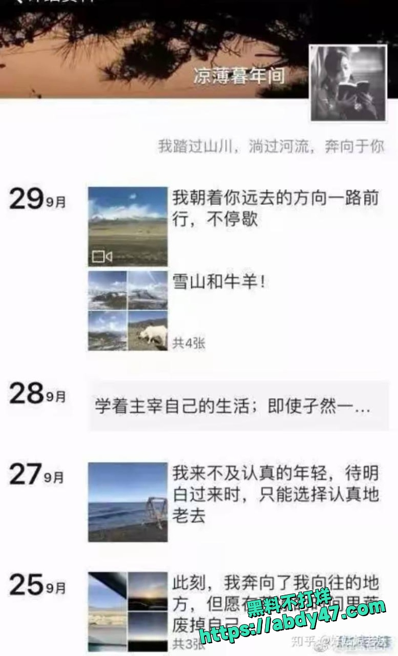大冰 19
