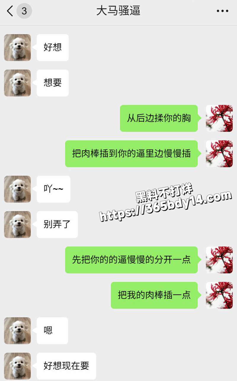 网调马来西亚小妞5