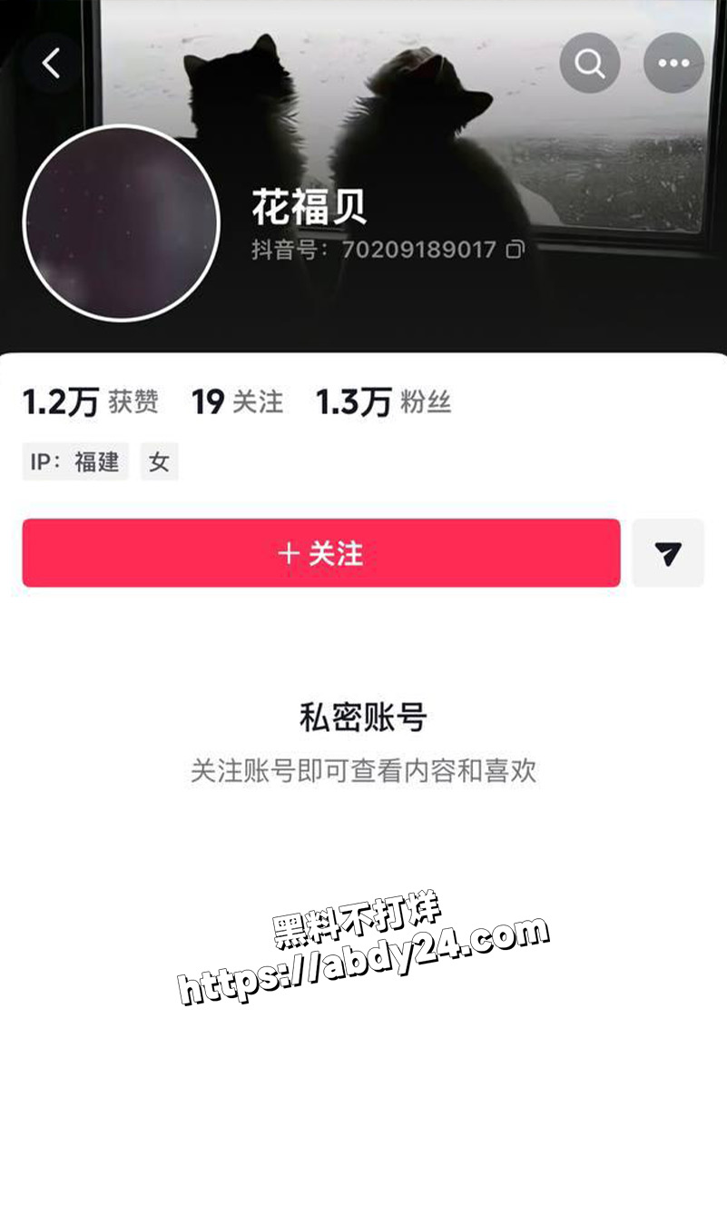 霸王茶姬“真”手打柠檬茶2