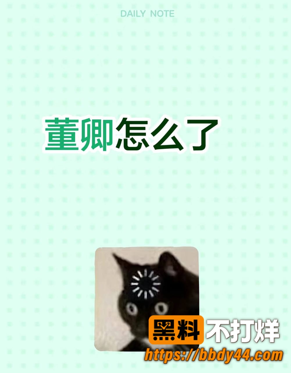 董卿9