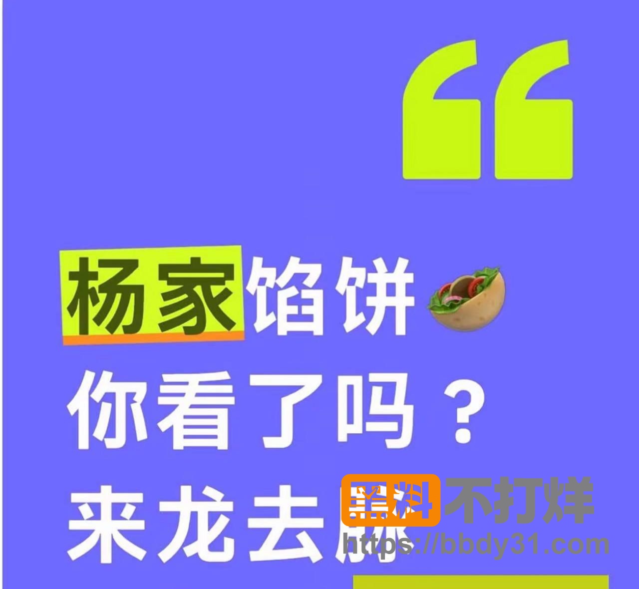杨家馅饼老板娘辛能能6