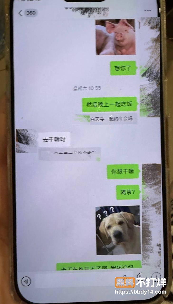 爆料28 2