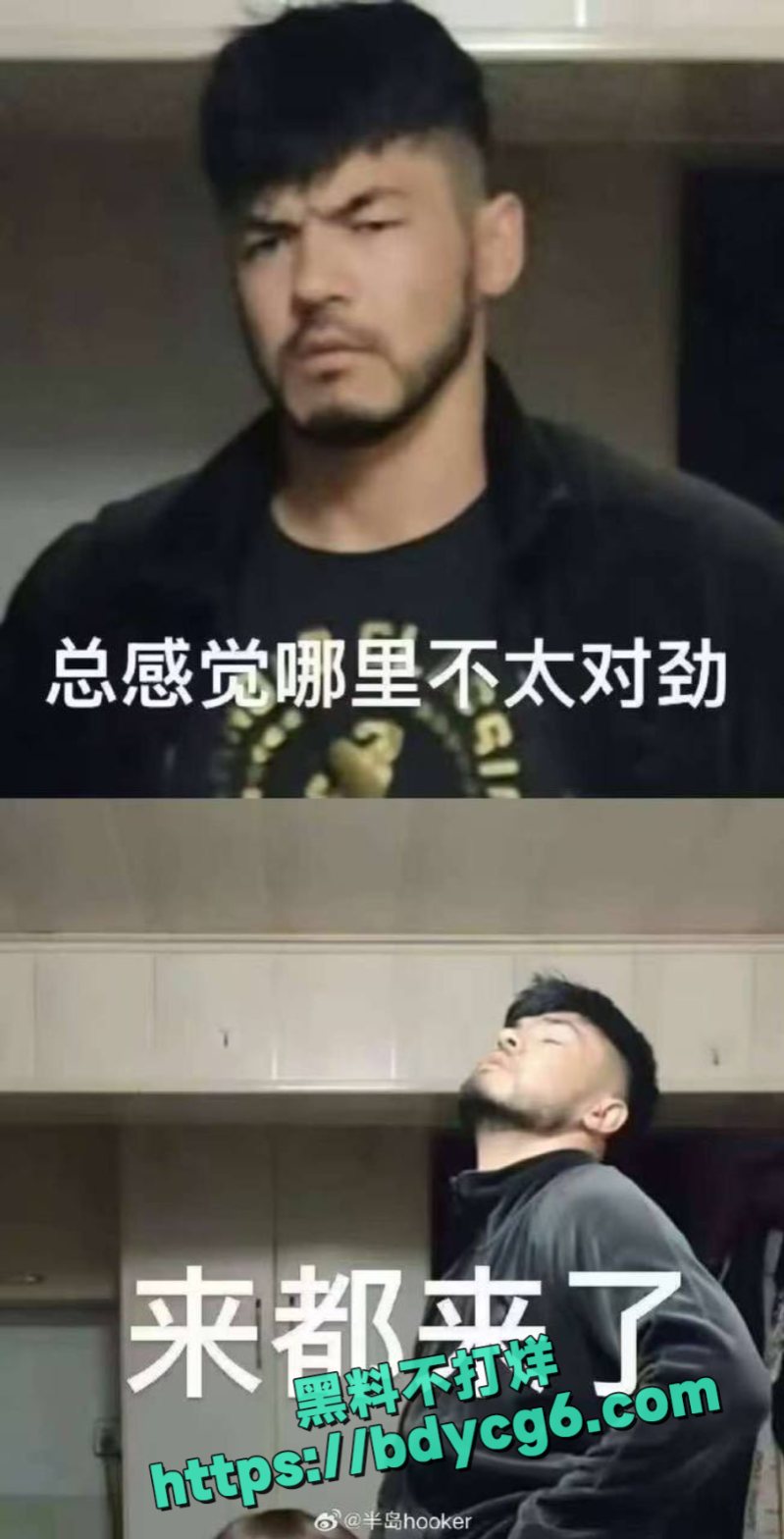 来都来了哥4
