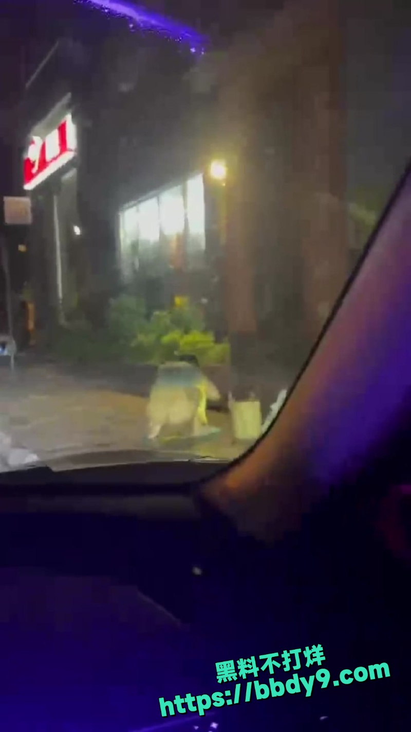 主人的任务 3
