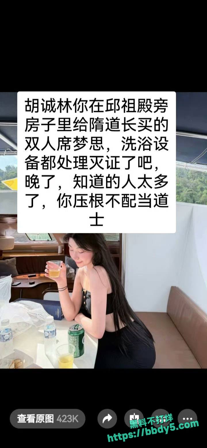 中国道教协会副会长29
