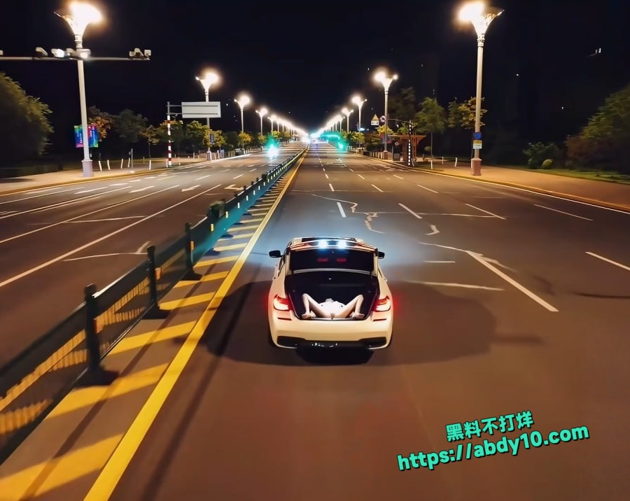 东北调教天团1