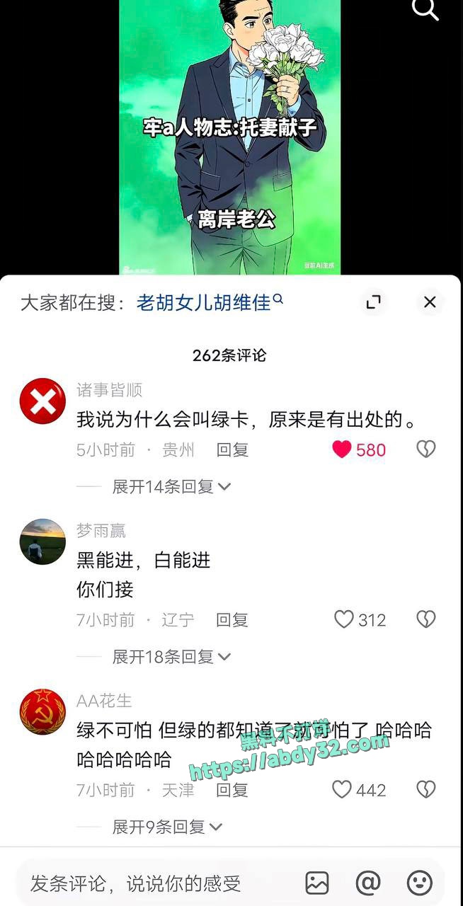 环球总编胡锡进女儿胡维佳国外开淫趴 14
