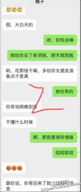 禽兽弟弟9