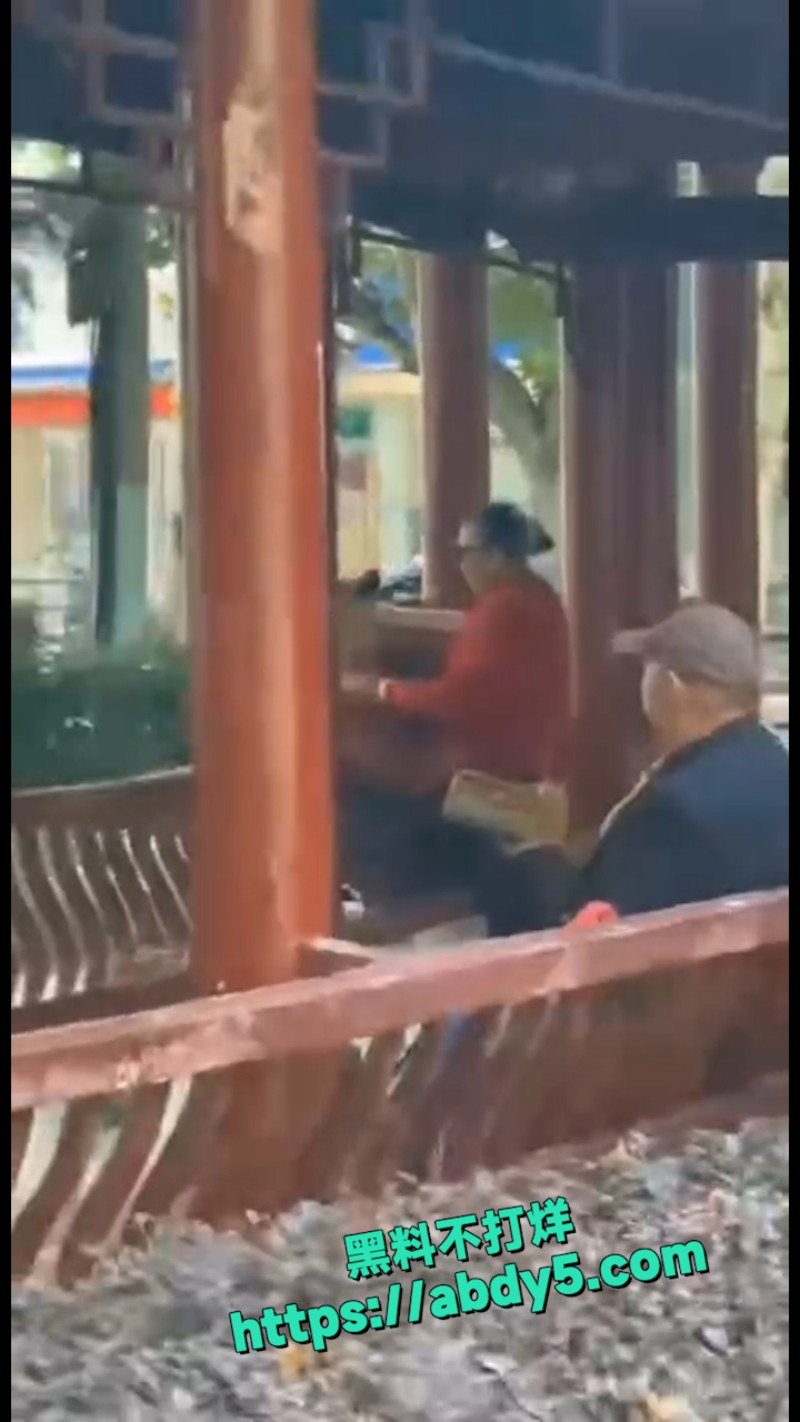 公园里的大爷大妈 1