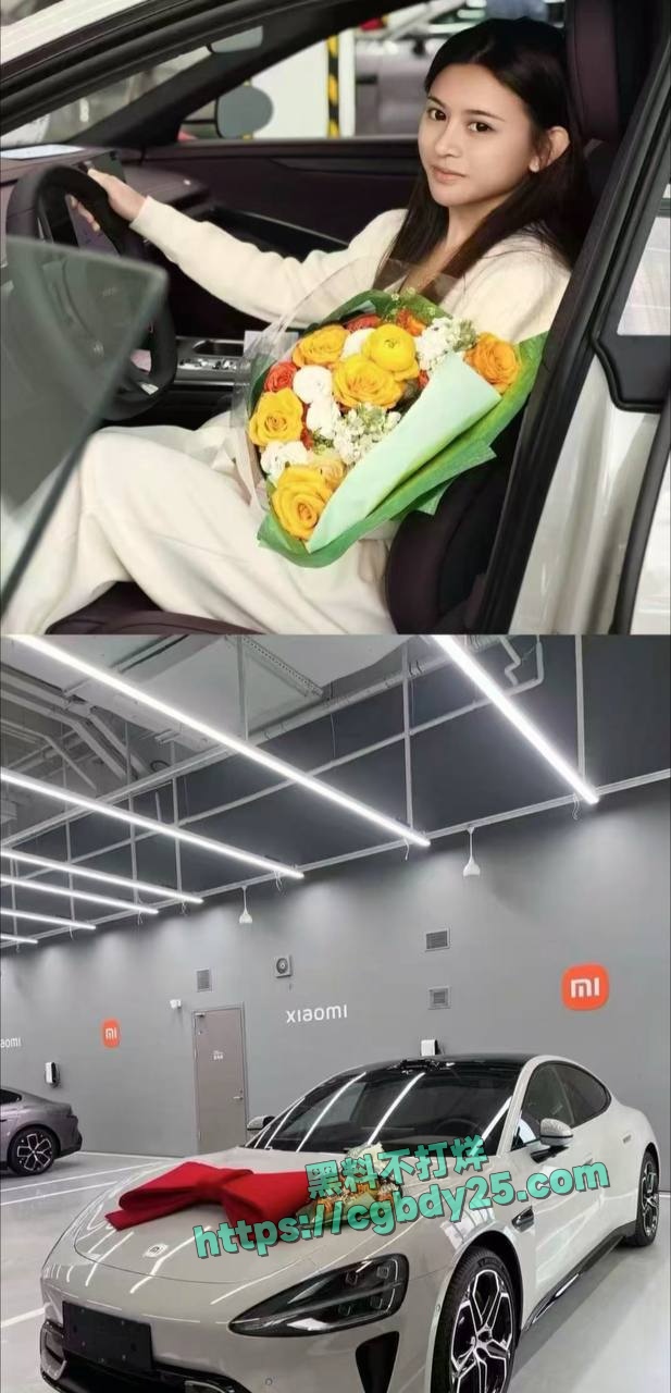 佛山镇安站街女喜提su7发文炫耀被认出 3